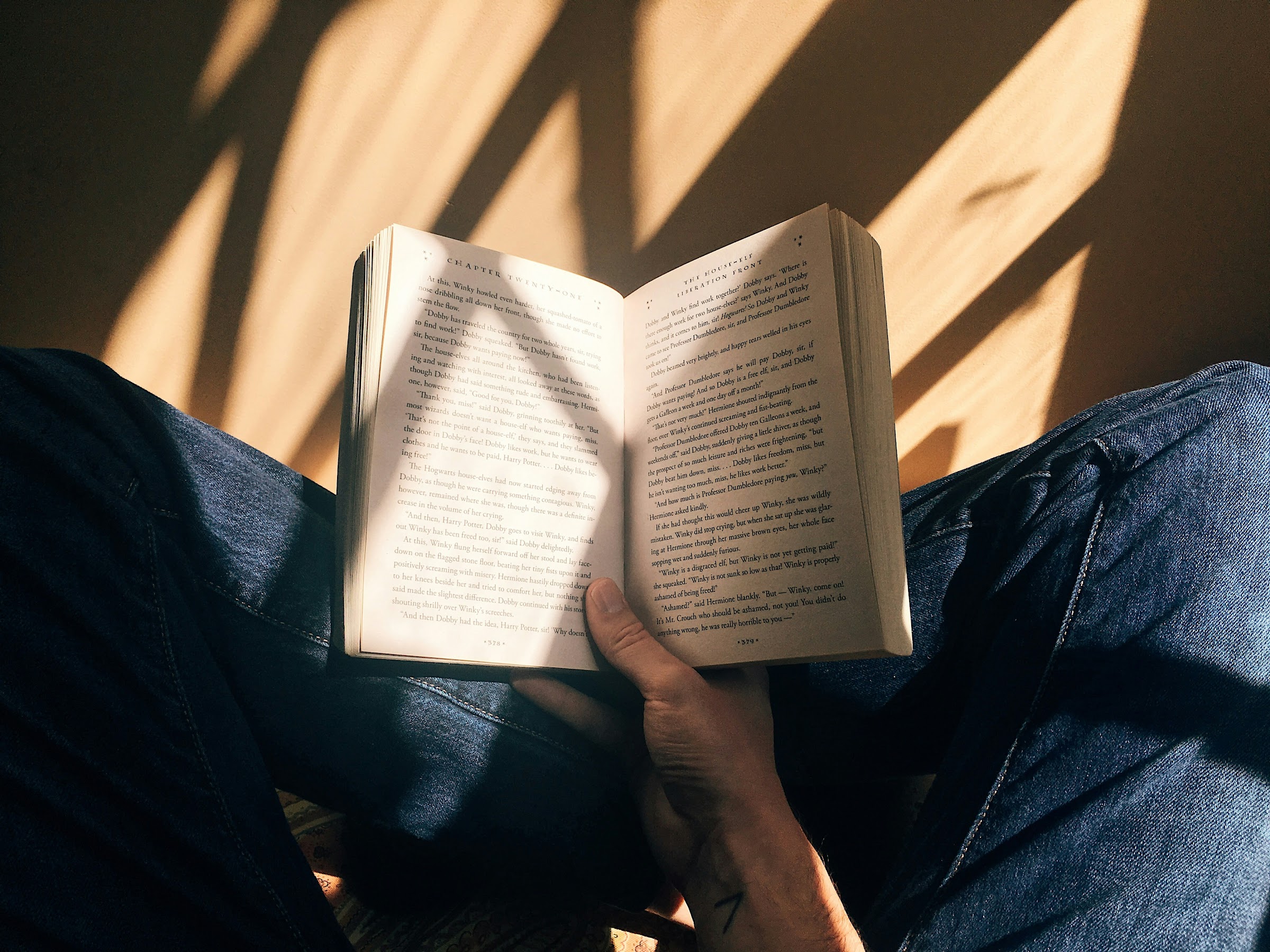 A reader holding an open novel in their lap, dappled in afternoon light